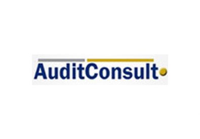 Audit Consult