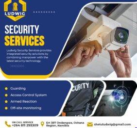 Ludwig Security Serv...