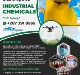 Chemdol T/A Dynachem...