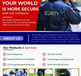 Domain Security Serv...