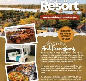 Wild View Resort