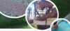 Ecorite Landscaping