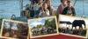 Smiles Travel and Tour